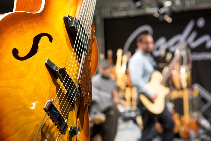 Instrumentele muzicale prezentate la Musikmesse sunt cele mai apreciate din lume