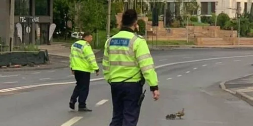 ratuste foto ion bildea