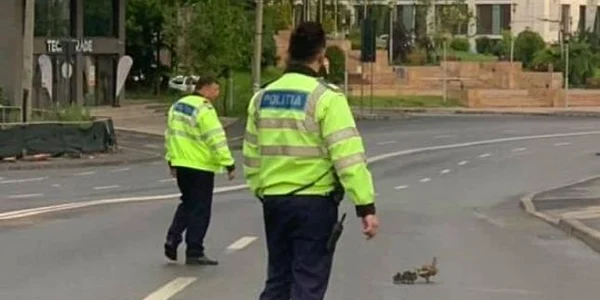 ratuste foto ion bildea