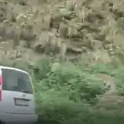 URSULICĂ gif
