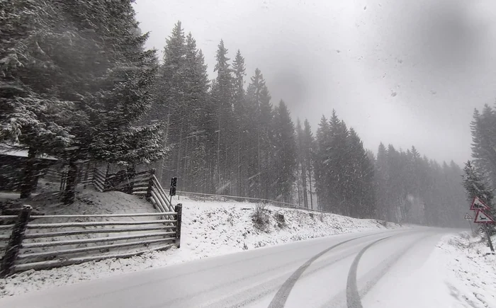 Ninsori, joi, 9 aprilie FOTO: Facebook/ Meteoplus