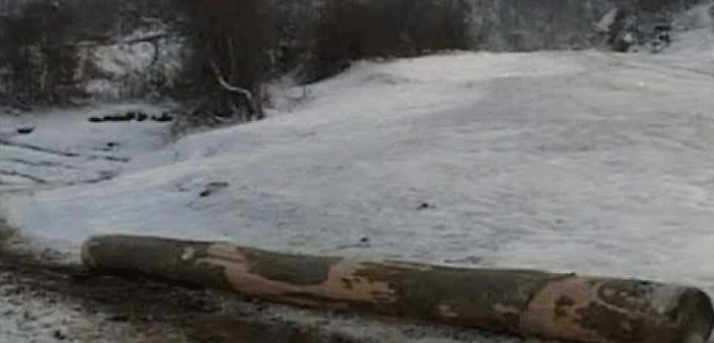 Pădurarul este cercetat penal pentru luare de mită.