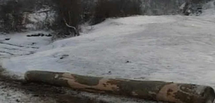 Pădurarul este cercetat penal pentru luare de mită.