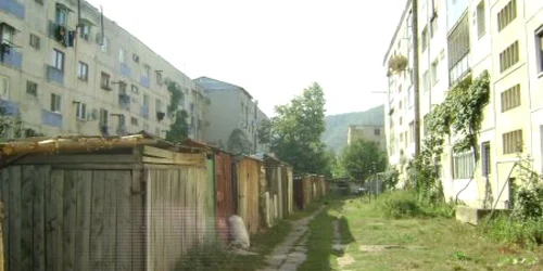 Spaţiile dintre blocuri s-au transformat în magazii de lemne