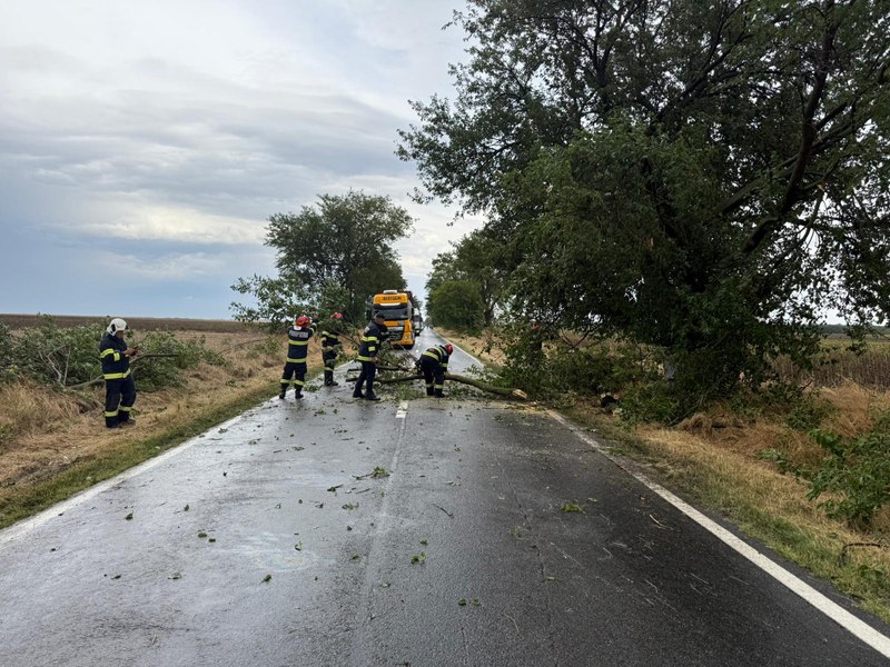Copaci căzuți și drumuri blocate în Dolj, în urma vijeliilor. Meteorologii au emis Cod portocaliu de vijelii pentru cinci județe din sud