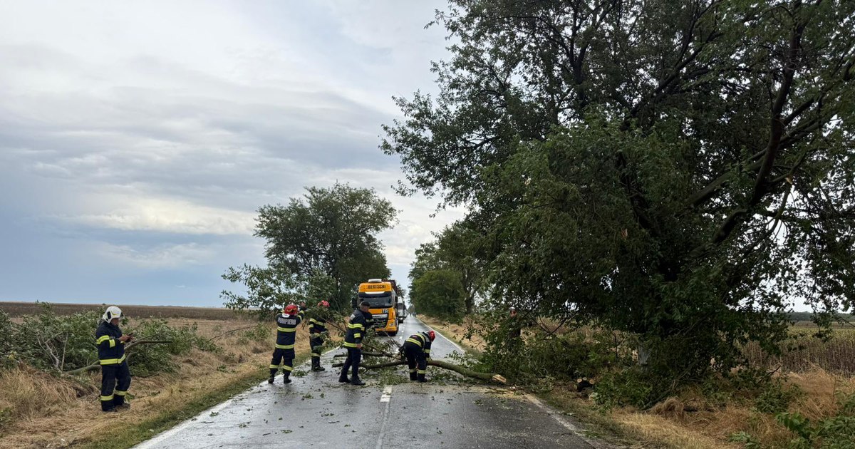 Copaci căzuți și drumuri blocate în Dolj, în urma vijeliilor. Meteorologii au emis Cod portocaliu de vijelii pentru cinci județe din sud