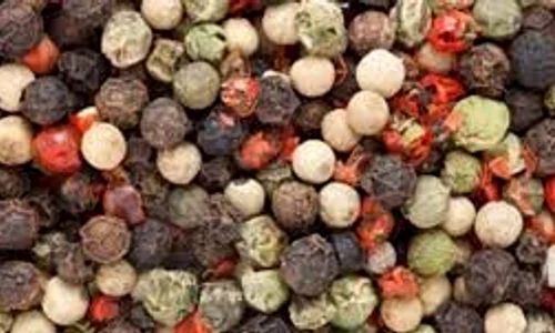 piperul images jpeg