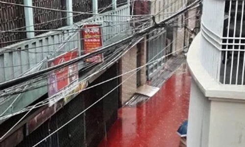 Anual, în Bangladesh sunt sacrificate sute de animale în numele unei sărbători sacre jpeg