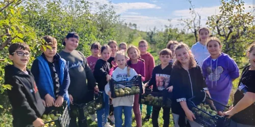 adsasdasadsasasas jpg