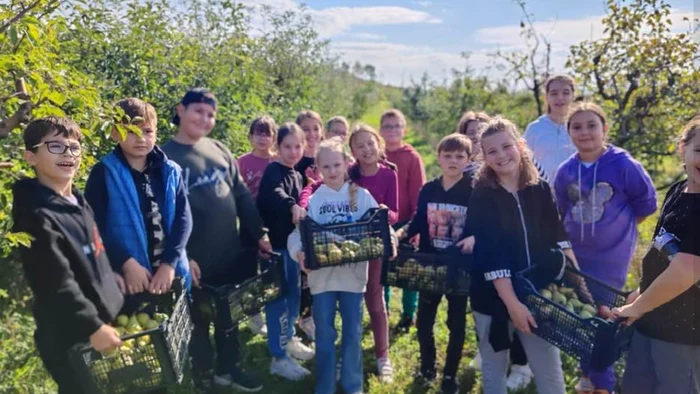 O clasă de copii a fost invitată să învețe despre fruncte direct în livadă FOTO Dumitru Zmău