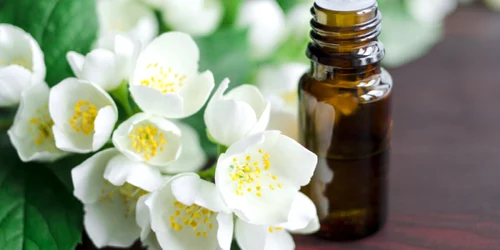 oasomie  Livada cu ceai