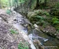 Valea Mică, spre Rapa cu Galbeni Foto Daniel Guță (3) jpg