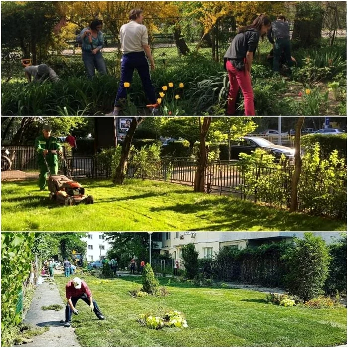 Unii locatari din sectorul 6 au grijă de grădina din fața blocului din plăcere, fără să fi intrat în programul primărieiFoto: Facebook/Ciprian Ciucu