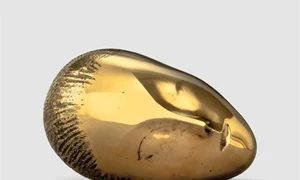 Etalonul Brâncuși jpeg