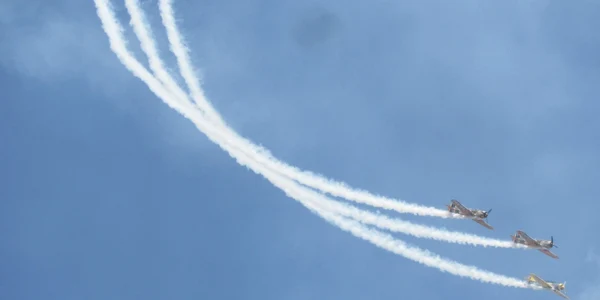 Timişoara Air Show 2015 FOTO Ştefan Both
