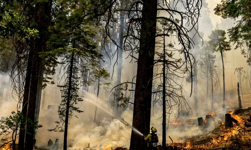 washburn fire jpeg
