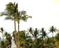 Raluca Lazarut Horatiu Boeriu vacanta Hawaii (20) jpeg