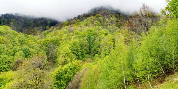 Charlie Ottley pe cărările Parcului Național Buila Vânturarița din Vâlcea Foto Oltenia de Sub Munte Geoparc aspirant UNESCO