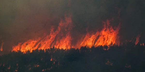 Incendii si evacuare populație lângă Atena FOTO AFP (4) jpg