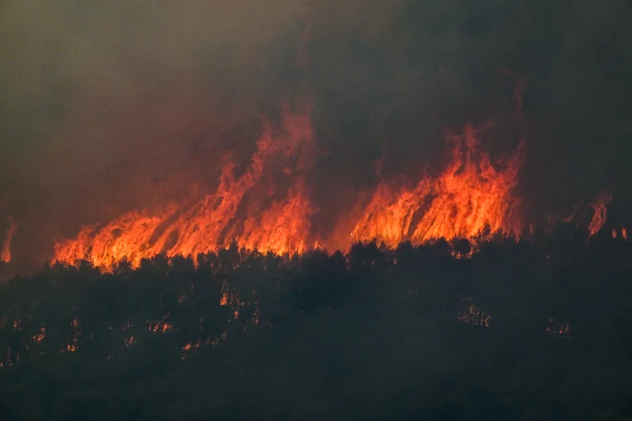 Circa 20.000 de oameni au fost evacuați în Grecia din pricina incendiilor de vegetație FOTO AFP