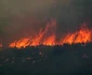 Incendii si evacuare populație lângă Atena FOTO AFP (4) jpg