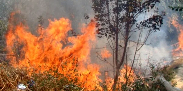 Incendiu de proporţii la plaja Trei Papuci