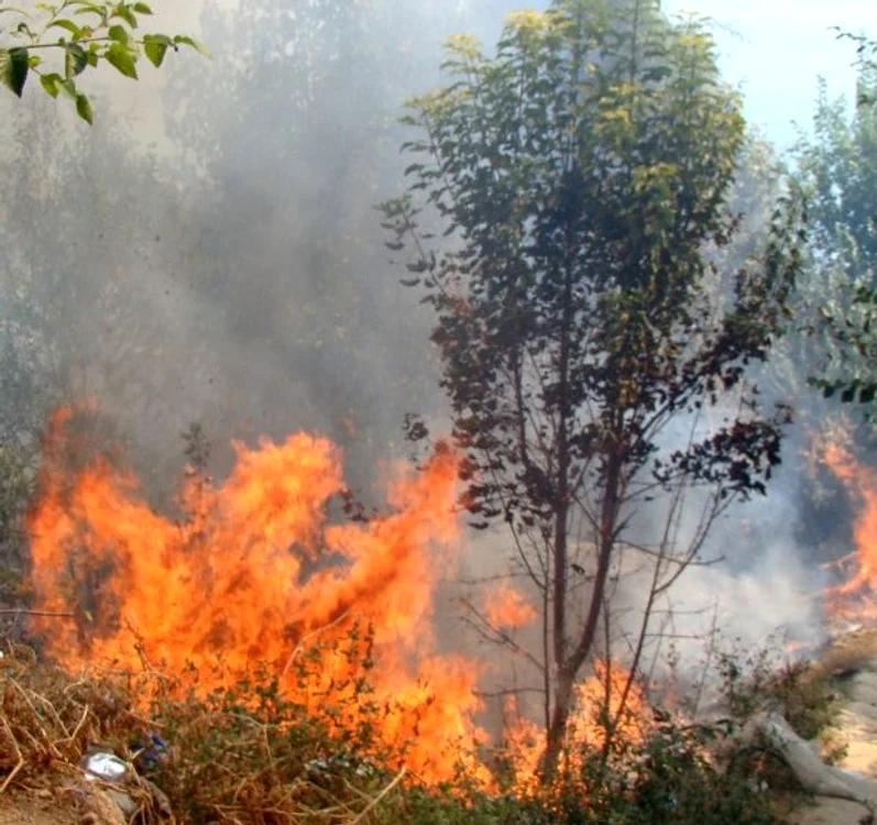 Incendiu de proporţii la plaja Trei Papuci