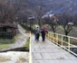 inundaţii