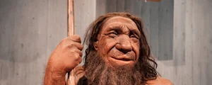 neanderthal adobestock jpg