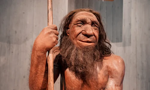 neanderthal adobestock jpg