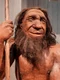neanderthal adobestock jpg