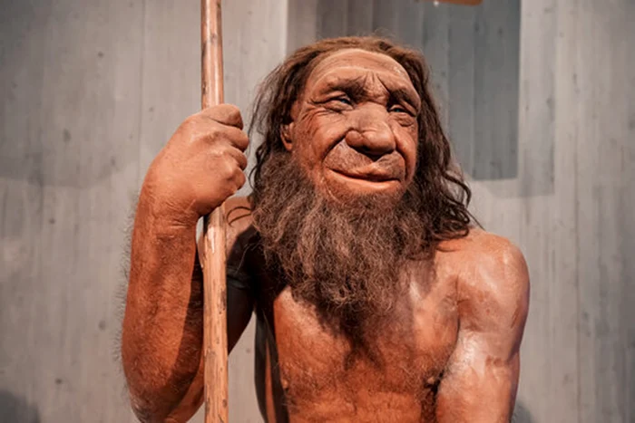 Molarul aparținea unui neanderthal / foto: Adobe Stock