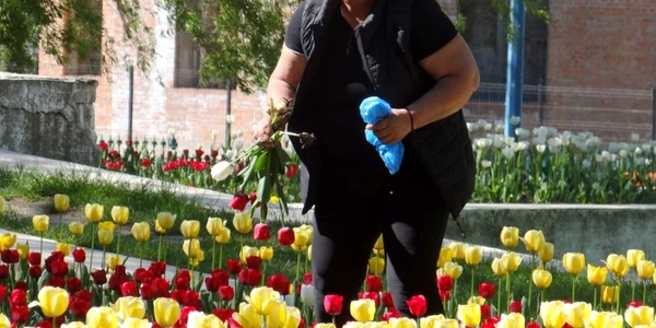 femeie prinsa furand lalele foto hilde heinz