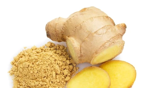 1 shutterstock 1699560988 jpg jpeg