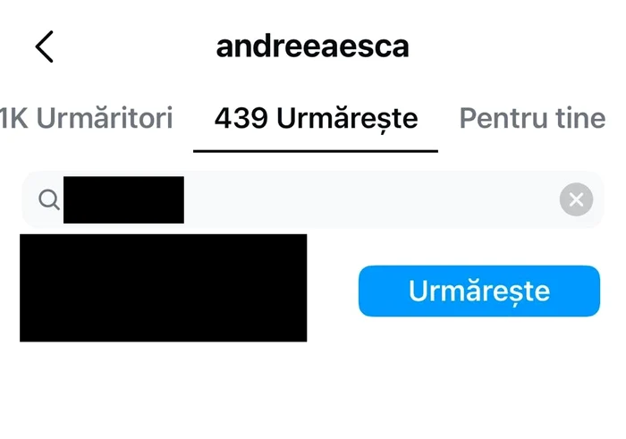 Andreea Esca i-a dat fallow antreprenorului / foto: Instagram