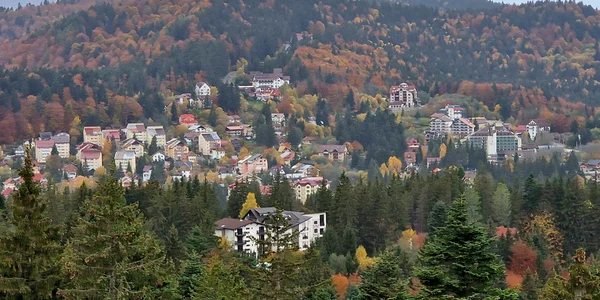 Orașul Predeal Foto Primăria Predeal facebook (6) jpg