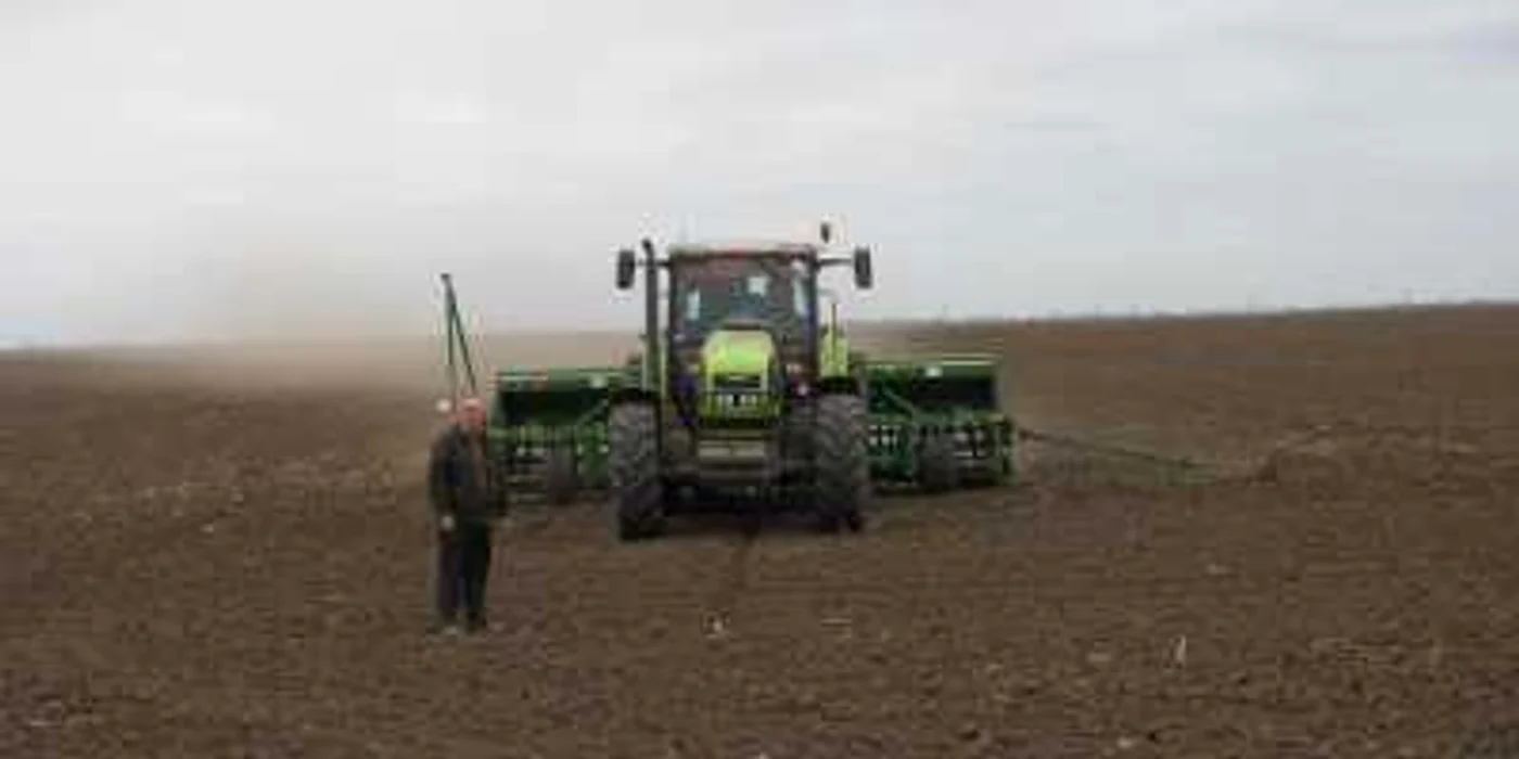 Agricultură de top în Bărăgan Foto:I.S.