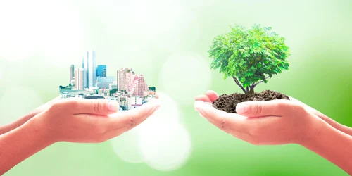 neutralitate climatica energie verde tranzitie jpg