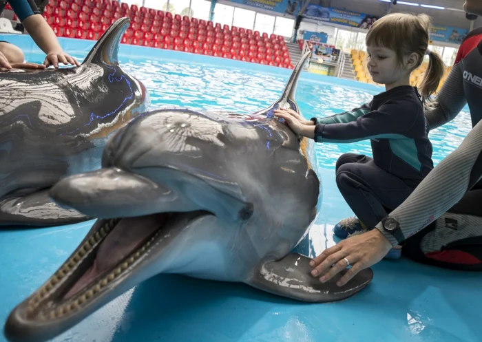 O fetita atinge un delfin in timpul unei sesiuni de terapie la delfinariul Nemo din Kiev foto reuters