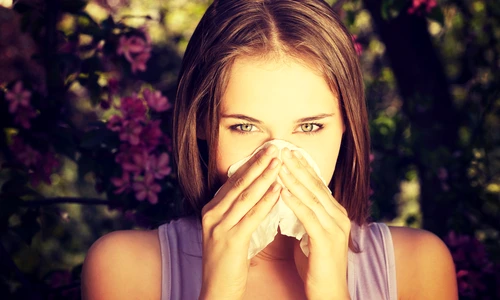 1 shutterstock 197335067 jpg jpeg