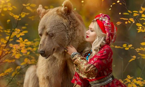 1 poza urs stepan jpg jpeg