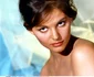 claudia cardinale 1959 rexfeatures 4339675h jpg jpeg