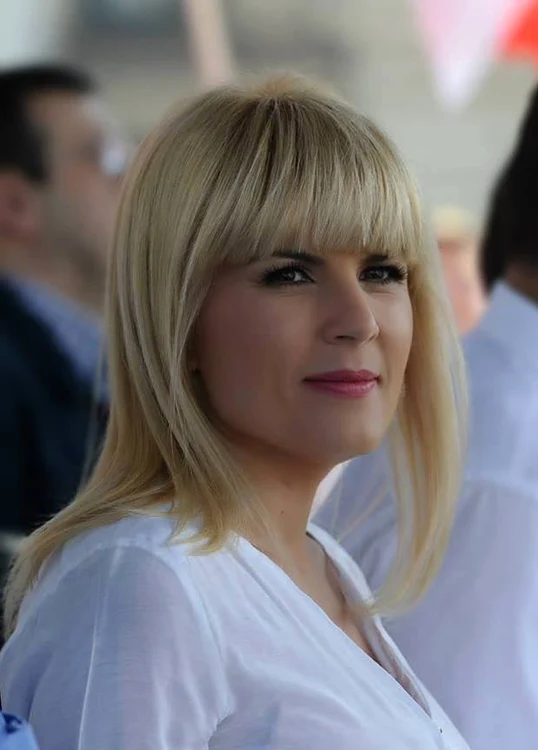 Elena Udrea susţine că decizia CCR nu o afectează