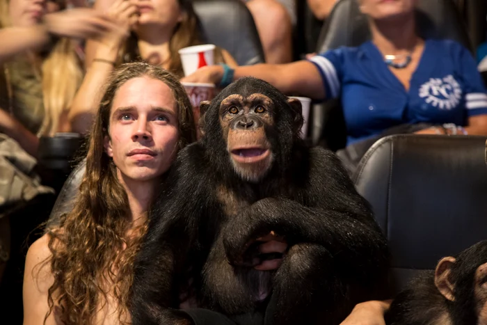 
    Se concentrează pe acțiunea filmuluiFoto Guliver Splashnews  