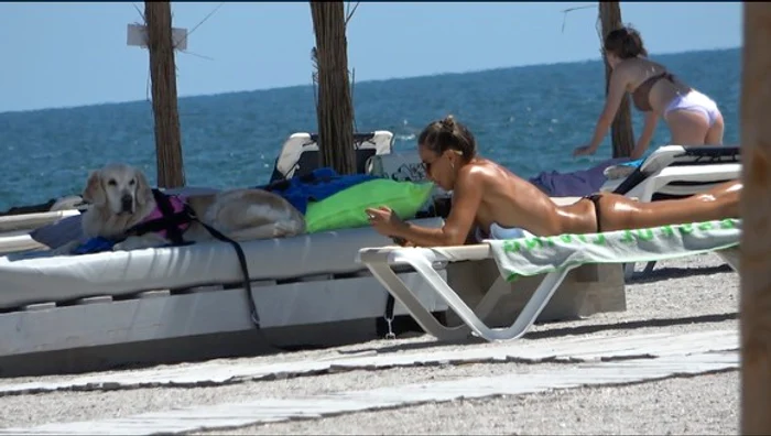 Lana stă ca o regină, pe patfoto: BLITZ / Click!