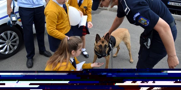 calarasi politie
