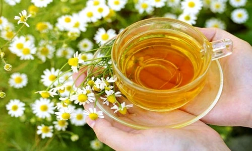 1 79960 original jpg jpeg