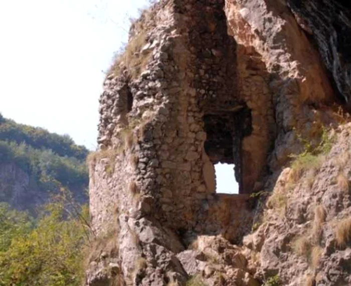 muntii padurea craiului