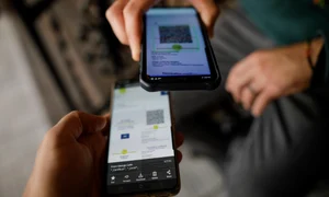 certificat verde png