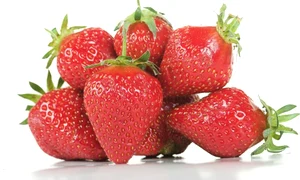 CLIIMA20140521 0036 1 jpeg